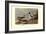 Pintail Ducks-Allan Brooks-Framed Art Print