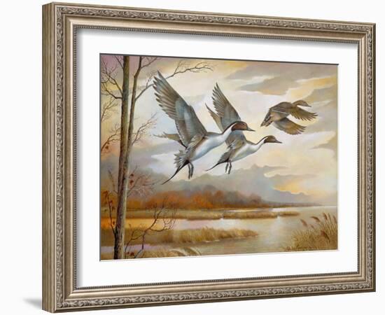 Pintails-Ruane Manning-Framed Art Print