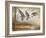 Pintails-Ruane Manning-Framed Art Print