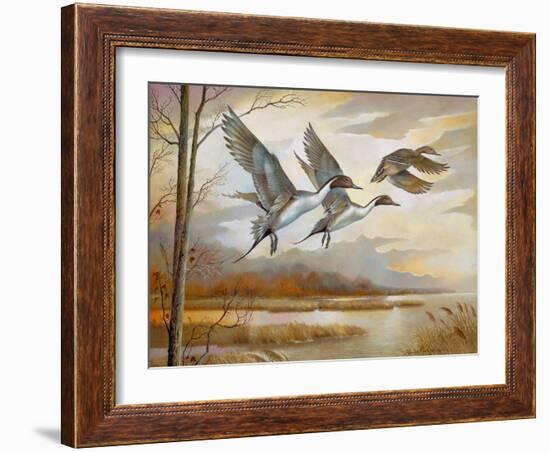 Pintails-Ruane Manning-Framed Art Print