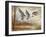 Pintails-Ruane Manning-Framed Art Print