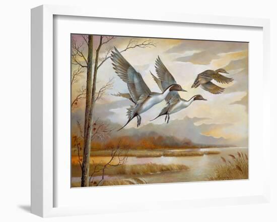 Pintails-Ruane Manning-Framed Art Print