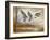 Pintails-Ruane Manning-Framed Art Print