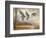 Pintails-Ruane Manning-Framed Art Print