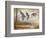 Pintails-Ruane Manning-Framed Art Print