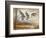 Pintails-Ruane Manning-Framed Art Print