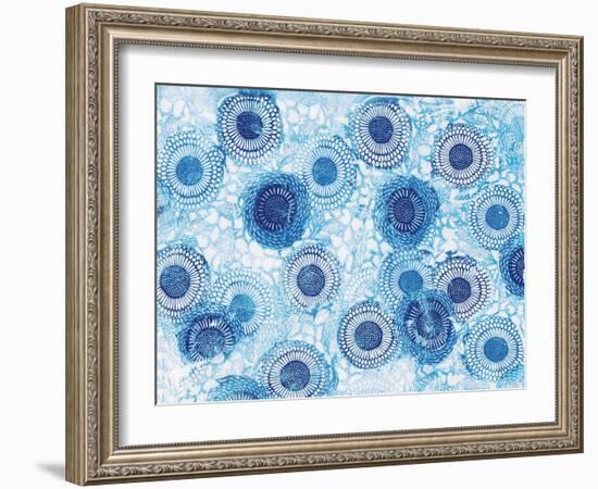 Pinto and Buffalo Flowers Blue-Kellie Day-Framed Art Print