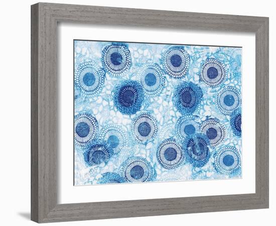 Pinto and Buffalo Flowers Blue-Kellie Day-Framed Art Print