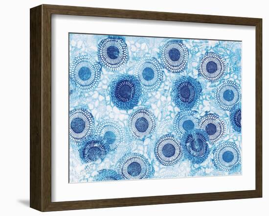 Pinto and Buffalo Flowers Blue-Kellie Day-Framed Art Print