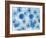 Pinto and Buffalo Flowers Blue-Kellie Day-Framed Art Print