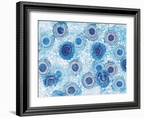 Pinto and Buffalo Flowers Blue-Kellie Day-Framed Art Print