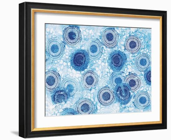 Pinto and Buffalo Flowers Blue-Kellie Day-Framed Art Print