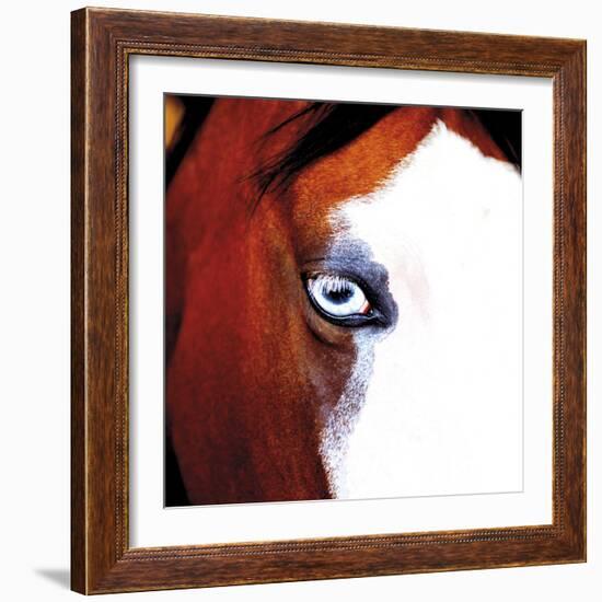 Pinto-Ray Hartl-Framed Giclee Print