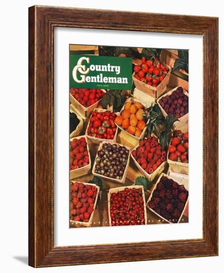 "Pints of Fruit and Berries," Country Gentleman Cover, July 1, 1949-J.c. Allen-Framed Giclee Print