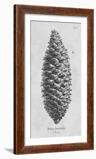 Pinus Australis-Maria Mendez-Framed Giclee Print