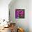 Pinwheel Daisy Pink-Steven Scott-Framed Premier Image Canvas displayed on a wall