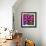 Pinwheel Daisy Pink-Steven Scott-Framed Giclee Print displayed on a wall