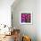 Pinwheel Daisy Pink-Steven Scott-Framed Giclee Print displayed on a wall