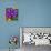 Pinwheel Daisy Purple-Steven Scott-Giclee Print displayed on a wall