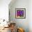 Pinwheel Daisy Purple-Steven Scott-Framed Giclee Print displayed on a wall