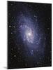 Pinwheel Galaxy (M33)-Slawik Birkle-Mounted Photographic Print