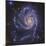 Pinwheel Galaxy, NGC 5457-Stocktrek Images-Mounted Photographic Print