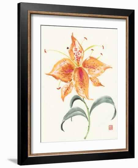 Pinwheel Passion-Nan Rae-Framed Art Print