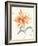 Pinwheel Passion-Nan Rae-Framed Art Print