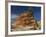 Pinyon Pine atop Sandstone Hoodoo-James Randklev-Framed Photographic Print