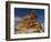 Pinyon Pine atop Sandstone Hoodoo-James Randklev-Framed Photographic Print