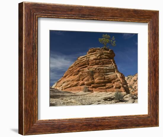 Pinyon Pine atop Sandstone Hoodoo-James Randklev-Framed Photographic Print