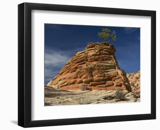 Pinyon Pine atop Sandstone Hoodoo-James Randklev-Framed Photographic Print