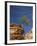 Pinyon Pine atop Sandstone Hoodoo-James Randklev-Framed Photographic Print