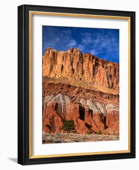 Pinyon Pine Below Cliffs, Capitol Reef National Park, Utah, USA-Scott T. Smith-Framed Photographic Print