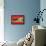 Pioneer Brand Fresh Lobster-null-Framed Stretched Canvas displayed on a wall
