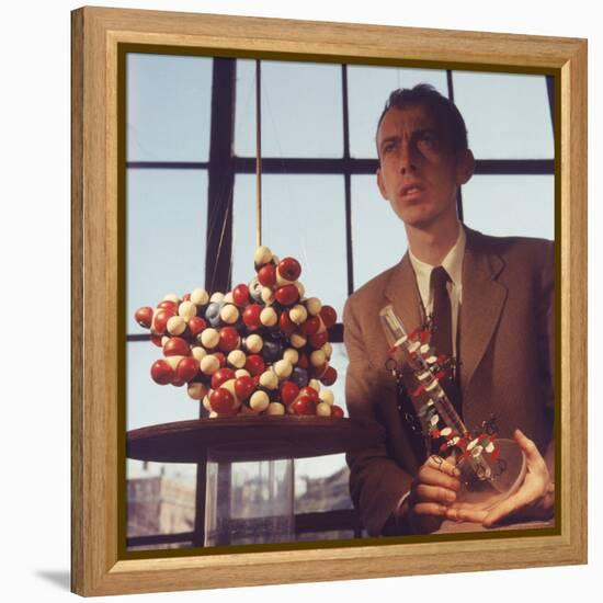 Pioneer Geneticist Biologist James Watson with Molecular Model of DNA-Andreas Feininger-Framed Premier Image Canvas