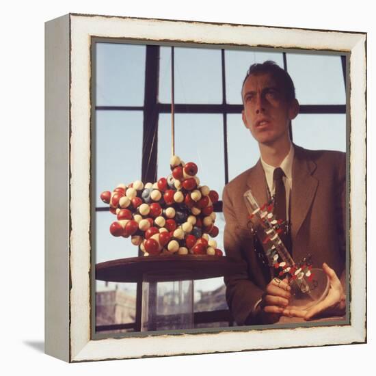 Pioneer Geneticist Biologist James Watson with Molecular Model of DNA-Andreas Feininger-Framed Premier Image Canvas