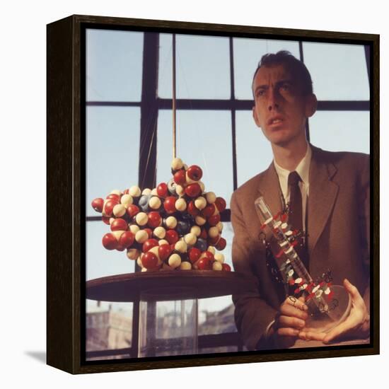 Pioneer Geneticist Biologist James Watson with Molecular Model of DNA-Andreas Feininger-Framed Premier Image Canvas