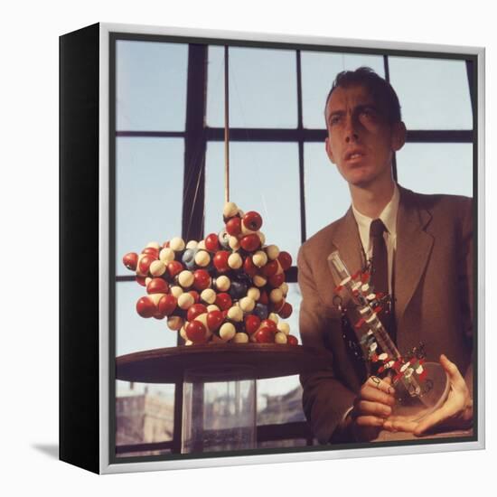 Pioneer Geneticist Biologist James Watson with Molecular Model of DNA-Andreas Feininger-Framed Premier Image Canvas