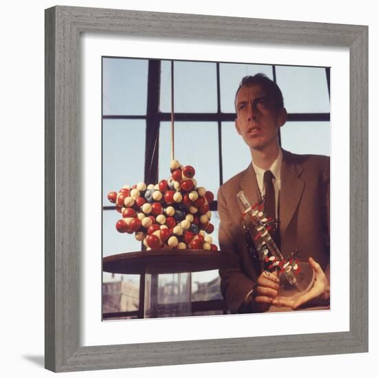 Pioneer Geneticist Biologist James Watson with Molecular Model of DNA-Andreas Feininger-Framed Premium Photographic Print