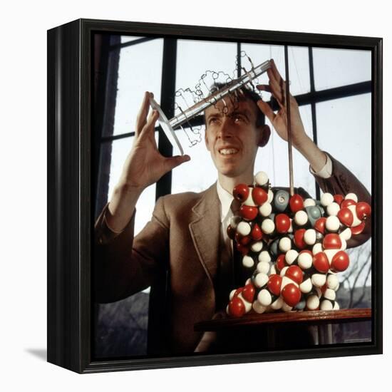 Pioneer Geneticist Biologist James Watson with Molecular Model of DNA-Andreas Feininger-Framed Premier Image Canvas