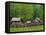 Pioneer Homestead, Great Smoky Mountains, North Carolina, USA-Adam Jones-Framed Premier Image Canvas