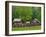 Pioneer Homestead, Great Smoky Mountains, North Carolina, USA-Adam Jones-Framed Photographic Print