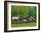 Pioneer Homestead, Great Smoky Mountains, North Carolina, USA-Adam Jones-Framed Photographic Print