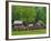 Pioneer Homestead, Great Smoky Mountains, North Carolina, USA-Adam Jones-Framed Photographic Print