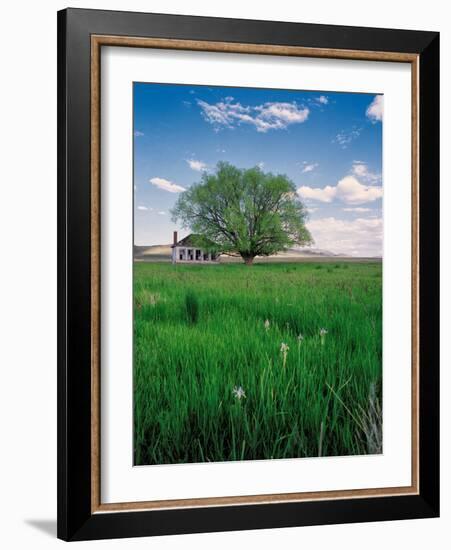 Pioneer School-Ike Leahy-Framed Photographic Print