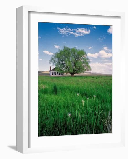 Pioneer School-Ike Leahy-Framed Photographic Print