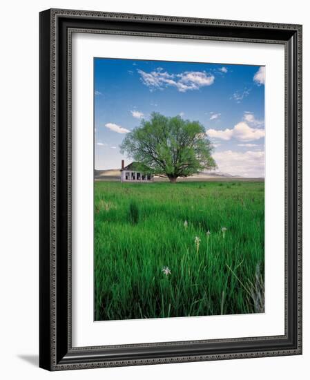 Pioneer School-Ike Leahy-Framed Photographic Print