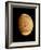 Pioneer Venus Image of Venusian Clouds-null-Framed Photographic Print