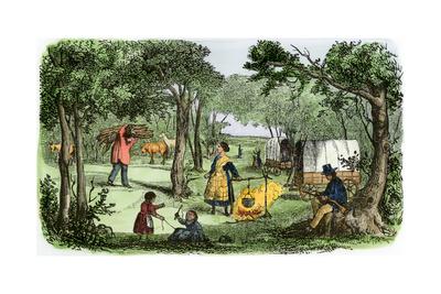  Pioneers Camp At Sunset Along The Oregon Trail 1850s Giclee Print Art